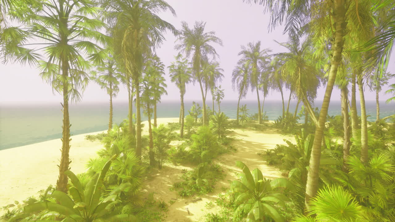 Tropical beach with palm trees and lush vegetation under a bright sky