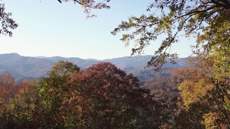 Un-Disparo-Desde-La-Avenida-Blue-Ridge