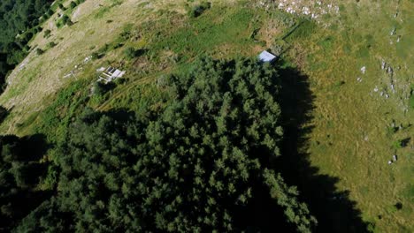 Von-Oben-Nach-Unten-Zeigt-Der-Wald-Einen-Blick-Auf-Hohe-Berggipfel-über-Einem-Tal