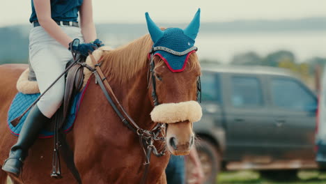 horse and rider preparing at event with colorful blue festive gear and background trailers visible