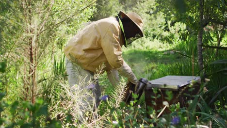 Kaukasischer-Männlicher-Imker-In-Schutzkleidung,-Der-Einen-Raucher-Verwendet,-Um-Bienen-In-Einem-Bienenstock-Zu-Beruhigen