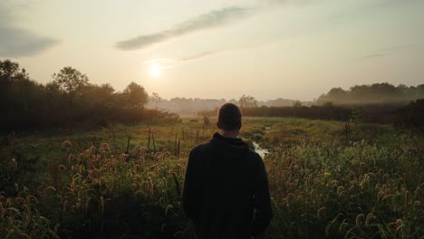 Männchen,-Das-Stadthirsche-Während-Des-Morgenspaziergangs-Betrachtet