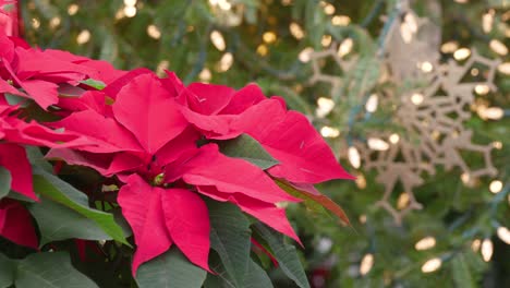 árbol de navidad decorado con adornos festivos y poinsettia roja