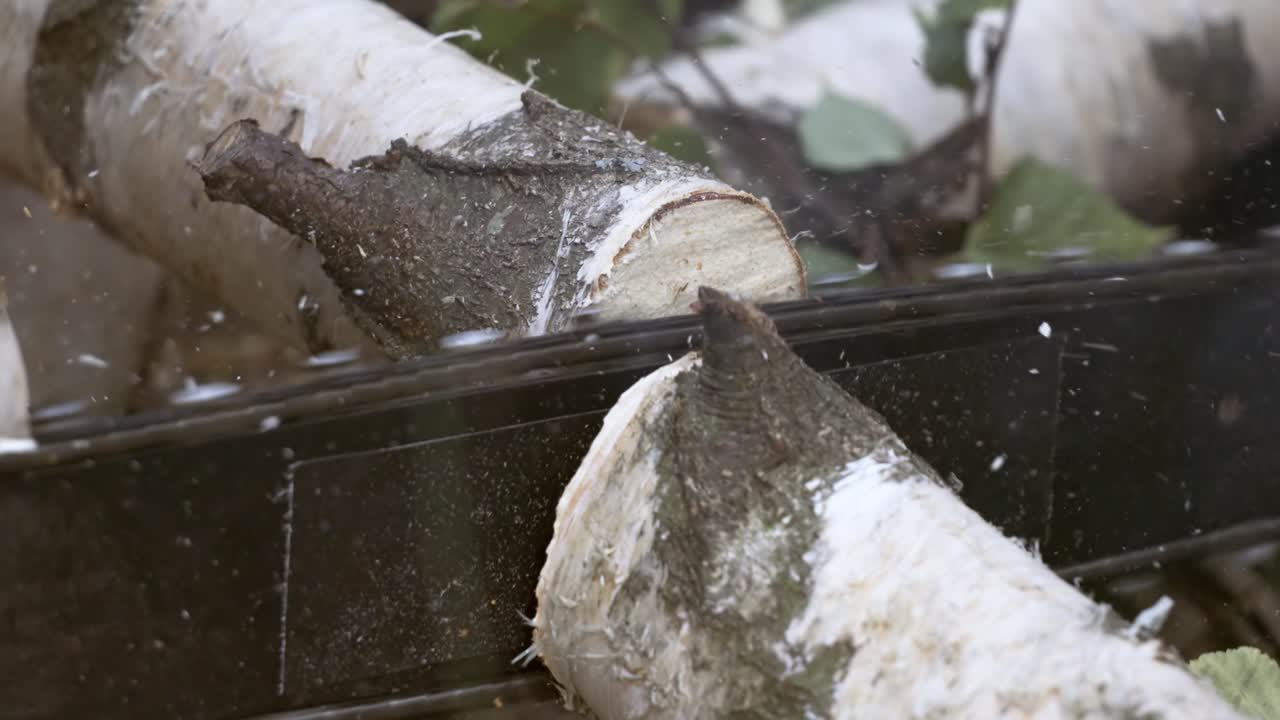 나무 는 사람은 에 있는 전기 체인 로 나무를 는다. 은 자유 낙하, 절단, 화재 휴식 및 연료 수확과 같은 활동에 사용된다. 슈퍼 슬로 모션 1000 fps로 촬영된다.