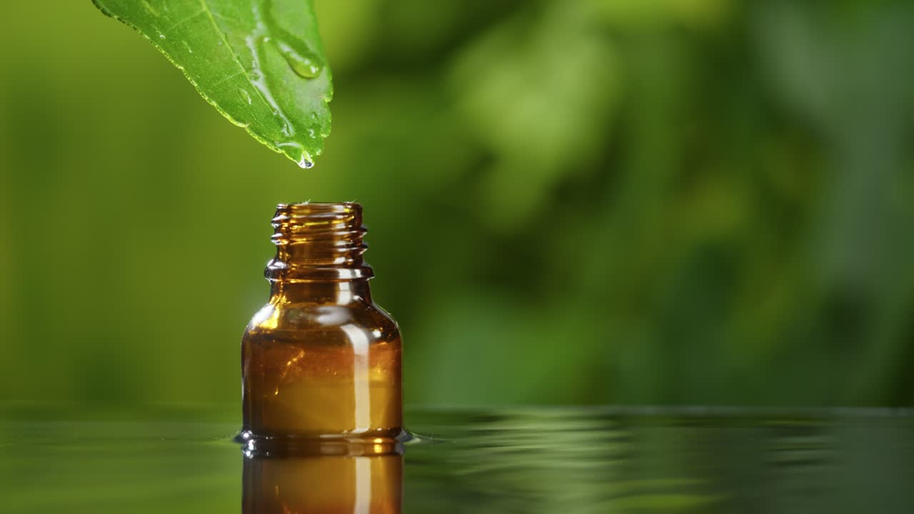 Juice dripping from leaf into bottle close-up, plant oil. Making aroma serum on green background. Dropping liquid extract, skincare routine, treatment essence oil, spa concept. Traditional medicine