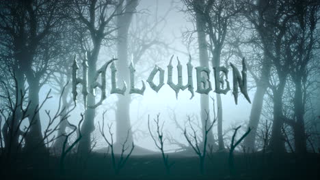Halloween-Und-Mystischer-Hintergrund-Mit-Dunklem-Wald-Und-Nebel