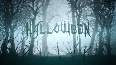 halloween y fondo místico con bosque oscuro y niebla