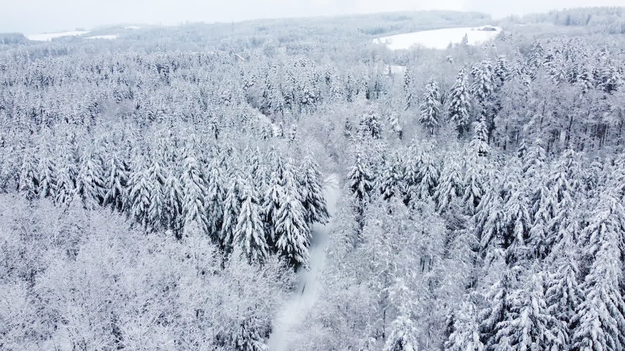 스위스, 보드 주, 프로이드빌 근처의 흐린 하늘 아래 폭설 동안 도로가 있는 겨울 숲