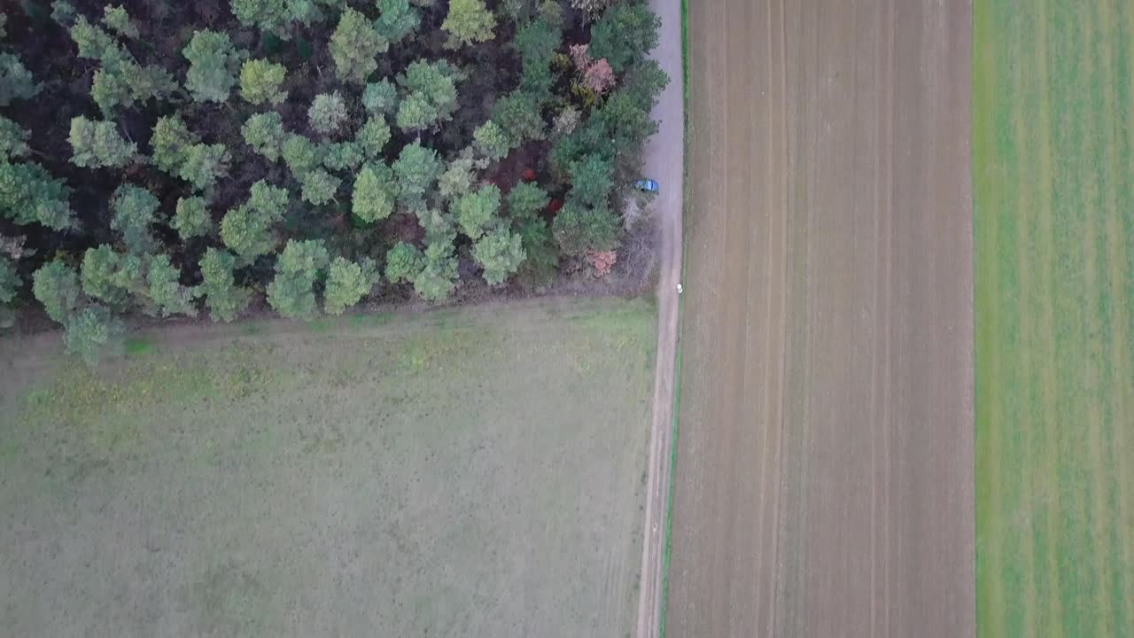 숲과 하이킹 트랙 뷰르베니치의 높은 전망