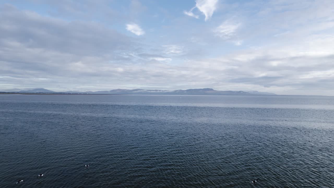 던달크 만 을 날아다니는 날, 새 들 이 어져 있다