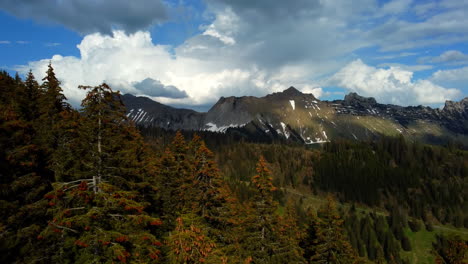 Dichter-Wald-Im-Tal-Mit-Blick-Auf-Die-Schweizer-Alpen