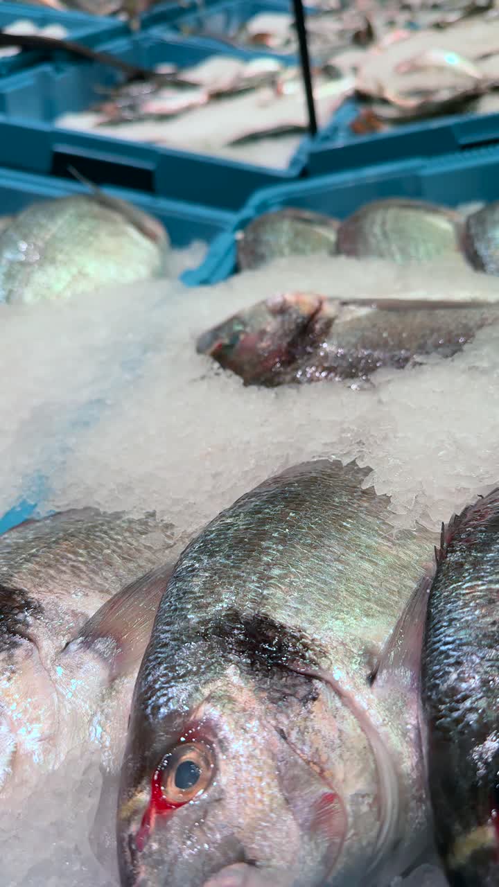 exhibición de pescado fresco en un mercado