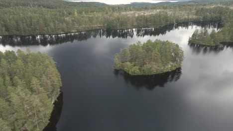 drone video of norwegian forest lake