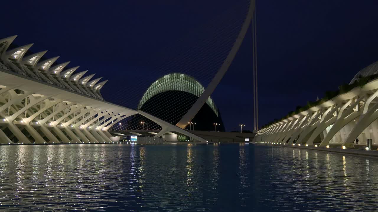 Night view of the Science Museum of Valencia
