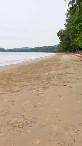 tranquila playa de arena con exuberante vegetación en krabi, tailandia