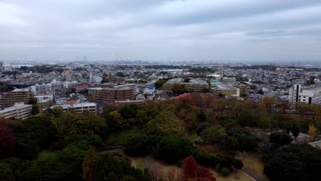 A-city-skyline-with-autumn-colored-trees-on-overcast-day,-aerial-view