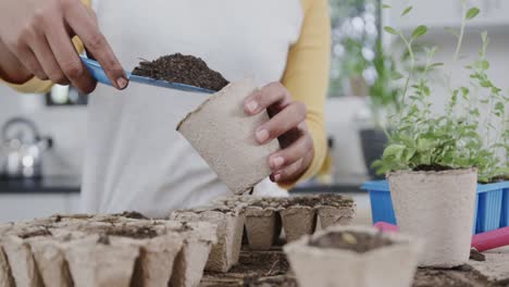 Midsection-of-biracial-woman-planting-herbs-in-kitchen-filling-starter-pot-with-soil,-in-slow-motion