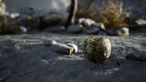 Una-Vieja-Pelota-De-Fútbol-Rota-Tirada-Yace-En-La-Arena-De-La-Playa-Del-Mar