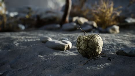 una vieja pelota de fútbol rota arrojada yace en la arena de la playa del mar