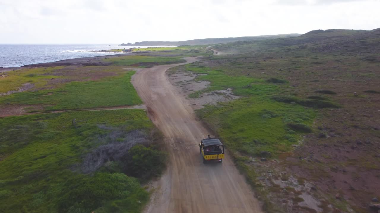 야생 아루바의 사파리