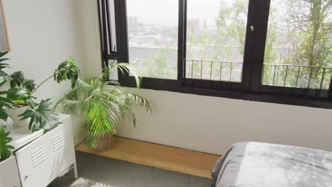 vista general del dormitorio moderno con plantas y ventana