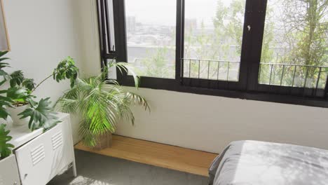 general view of modern bedroom with plants and window