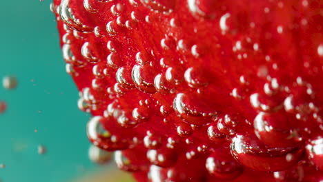 Red fruit in water with bubbles