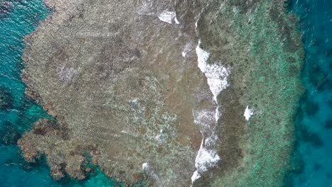 Waves-break-over-reef-crest-of-coral,-red-sea-Jeddah-saudi-arabia,-aerial-top-down