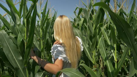 Pretty-blond-woman-in-white-dress-walking-in-cornfield,-slow-motion