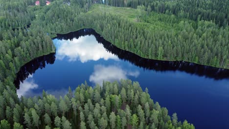 cloud reflects in vibrant blue lake surface in boreal forest, aerial