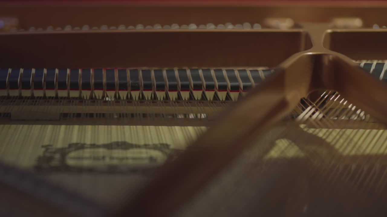 Piano keys move up and down inside a piano