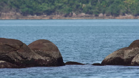 rocks among sea in a rainforest beach