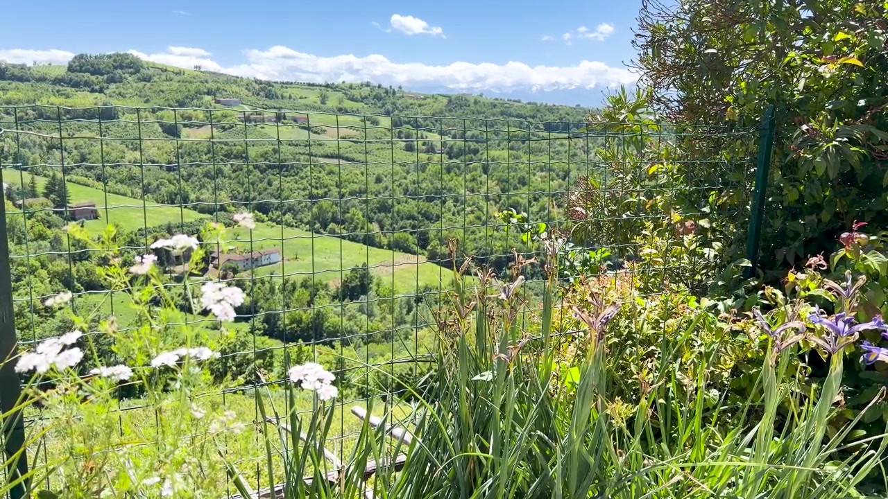 Statische Weitwinkelaufnahme einer üppigen italienischen Hügellandschaft mit Wildblumen und entfernten Alpenbergen.