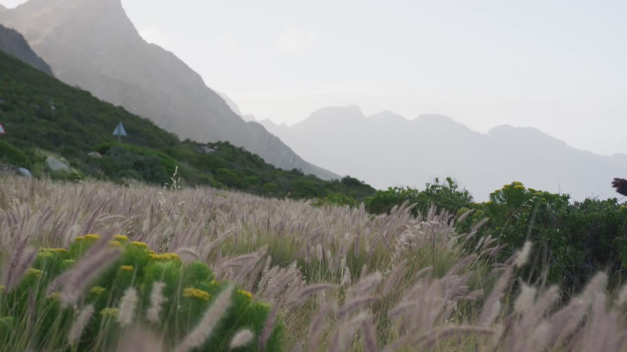 시골 에 있는  ⁇  을 가로질러 달리는 다양한 커플