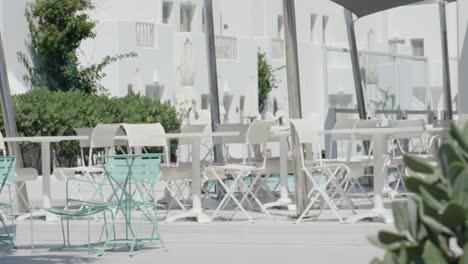 view of santorini beach resort outdoor lounge behind cactus in santorini, greece