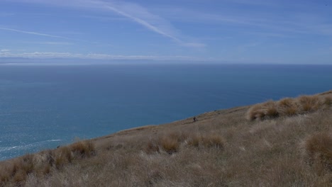 mountain bike riders traverse ridge above a sparkling ocean in summertime - breeze col, banks peninsula