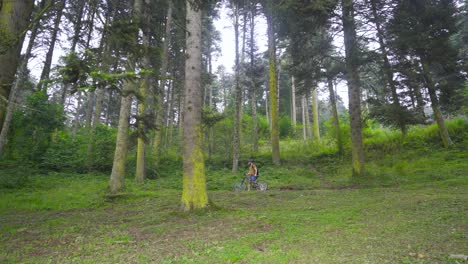 cycling on bumpy roads in the forest.