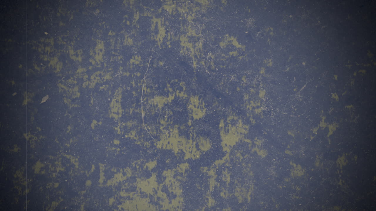 어두운 그런지 텍스처와 파란색 스플래시와 노이즈 효과