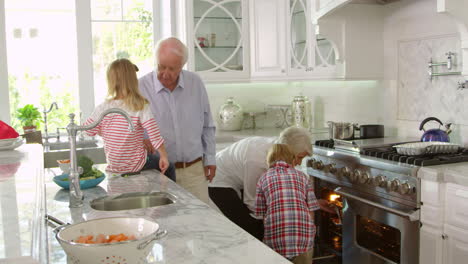 children and grandparents make roast turkey meal shot on r3d