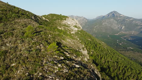 mountainous landscape with forest and valley