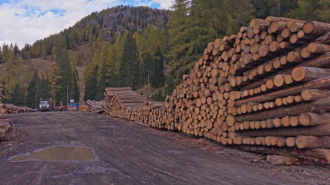 Cut logs arranged in alpine woodland, aerial over Dolomites, Italy