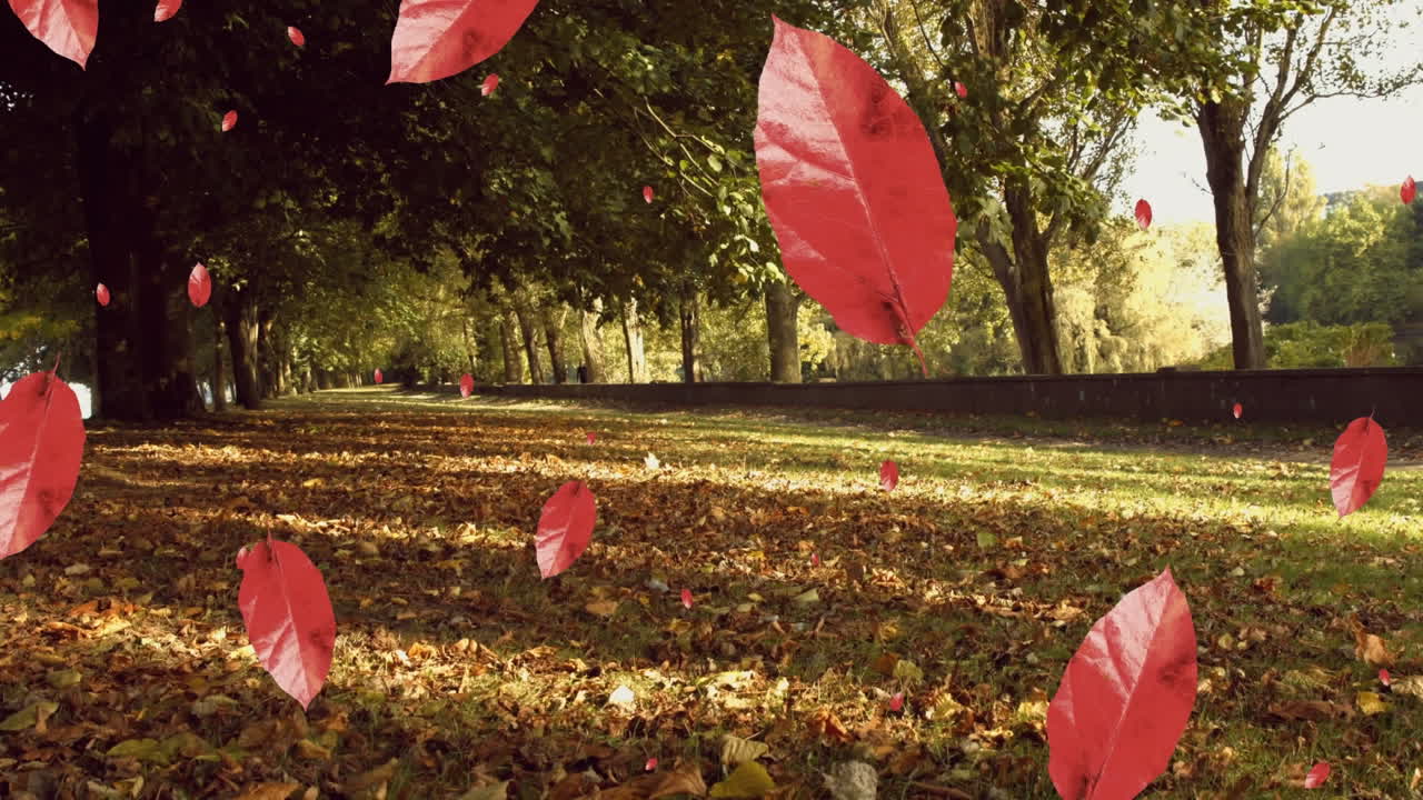 animación de hojas rojas de otoño que caen en el parque