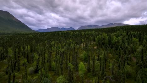 Desierto-De-Alaska-Cerca-Del-Lago-Clark-Alaska