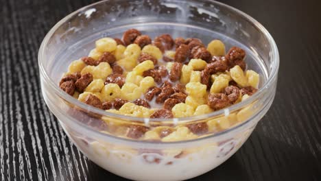 breakfast chocolate corn cereal in a bowl with milk.