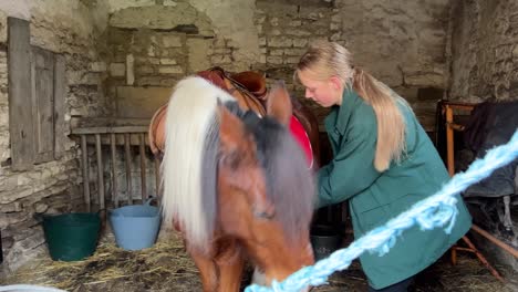 girl attaching a saddle on her pony, preparing him for a ride 02