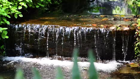 cascading water over rocks in lush greenery