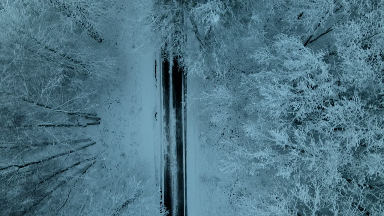 Empty Winter Road in Nature
