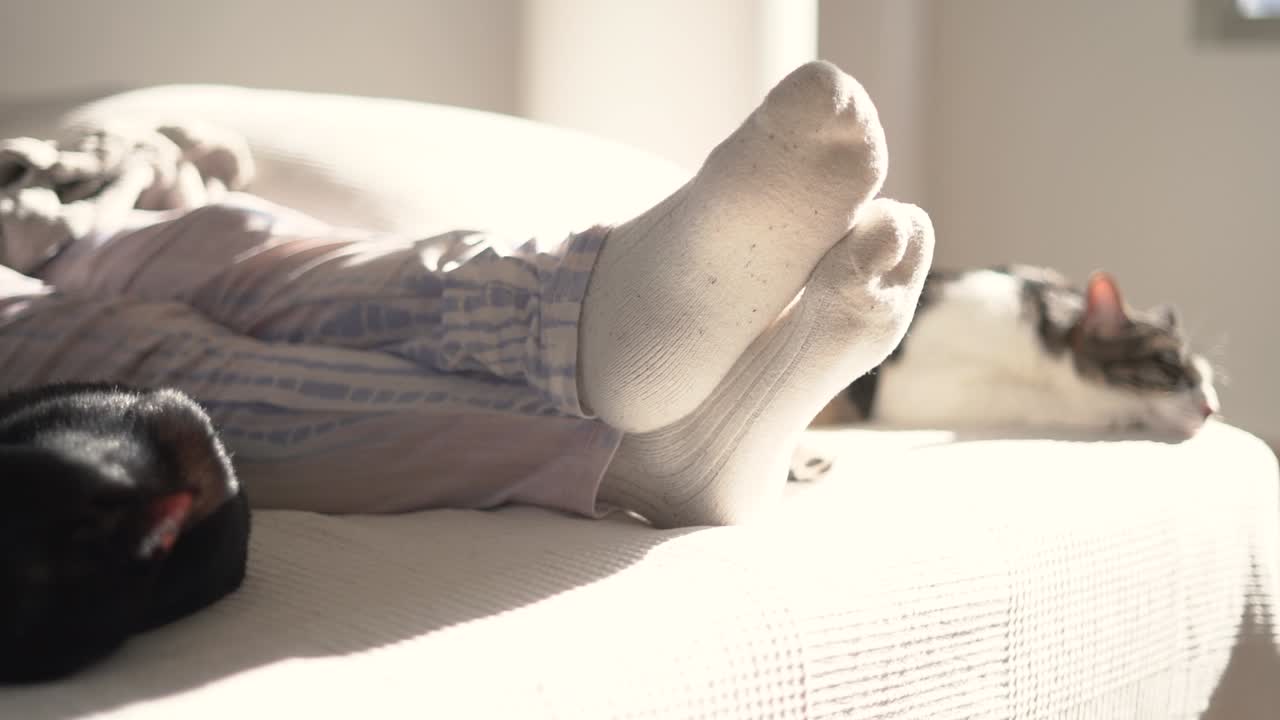 고양이가 집 안에서 소파에 앉아 잠을 자고 있다