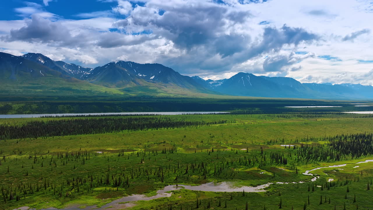 Alaska summer wilderness. Vast green landscapes stretch towards distant mountains under a blue sky, showcasing Alaska pristine natural beauty