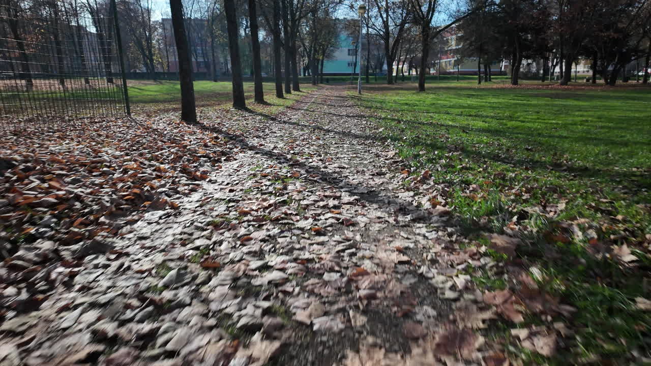 Path covered in fallen autumn leaves
